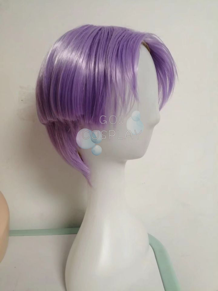 Dragon Ball Z Trunks Wig