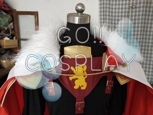 Customize Fate/Apocrypha Rider of Black Astolfo Cosplay Costume Outfit