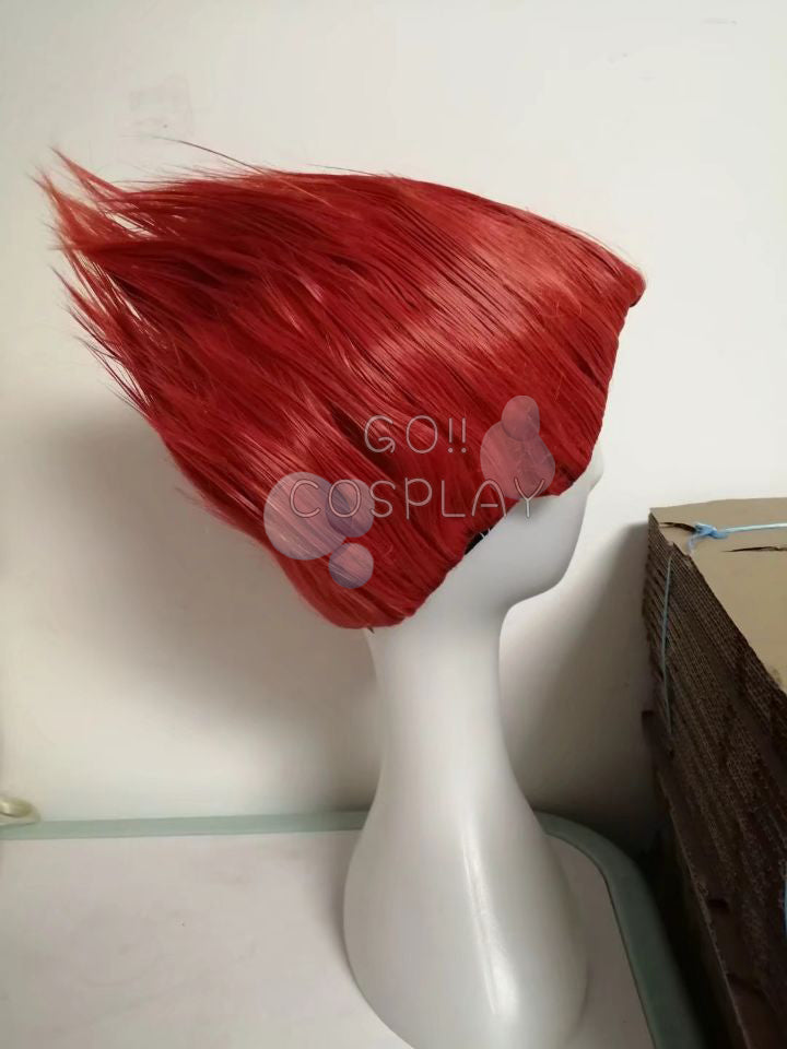 Hunter x Hunter Hisoka Wig