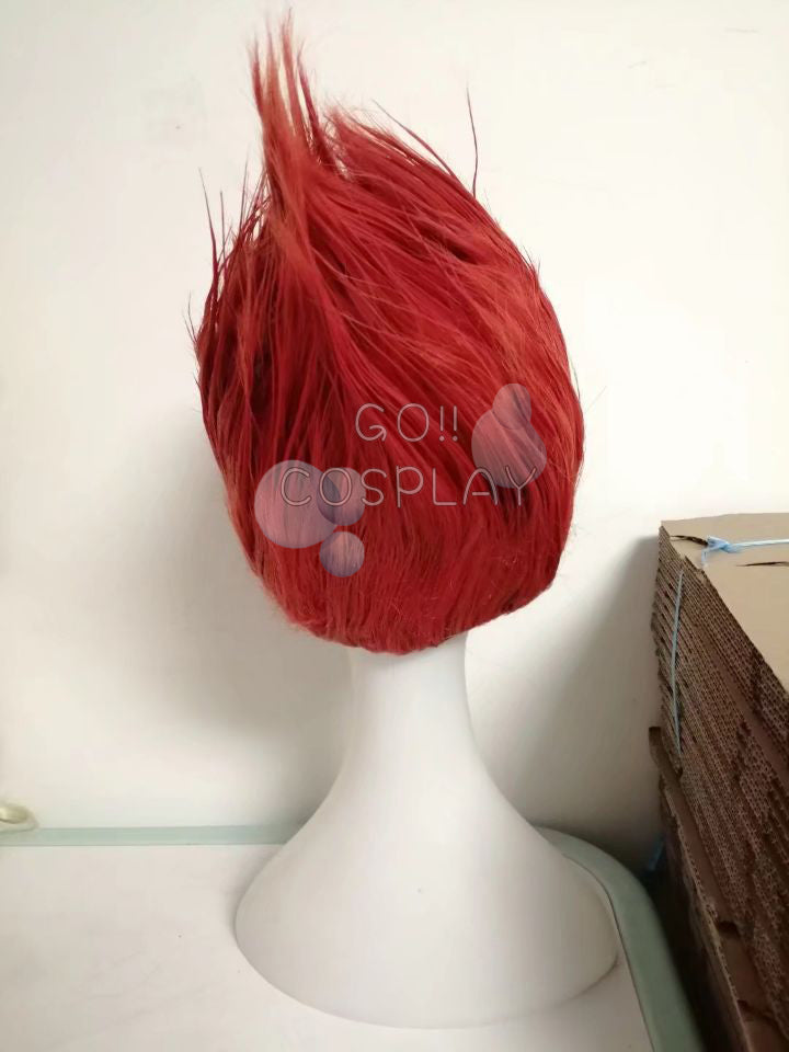 Hunter x Hunter Hisoka Wig