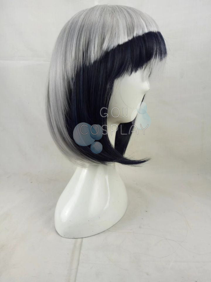 Kemono Friends Common Raccoon Wig