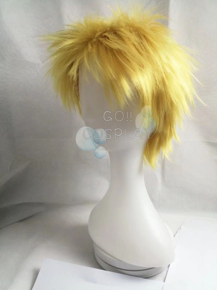 One Piece Donquixote Doflamingo Wig