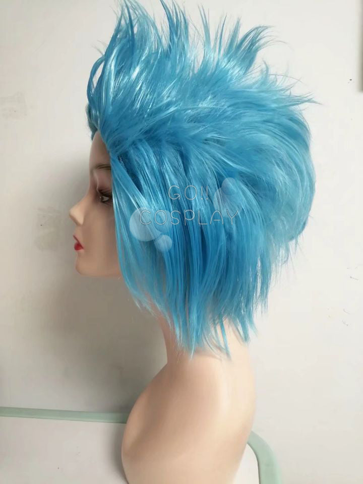 One Piece Franky Wig