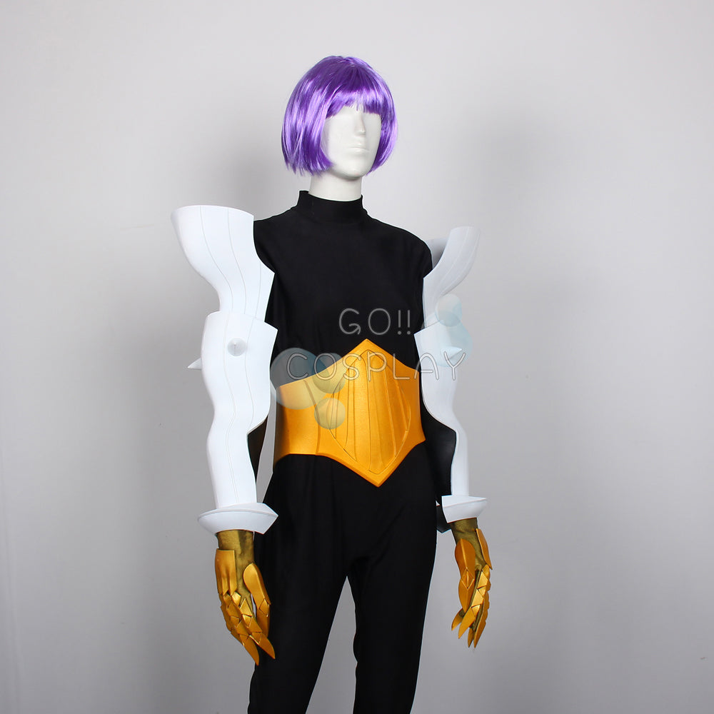 Rama F/GO Cosplay Buy