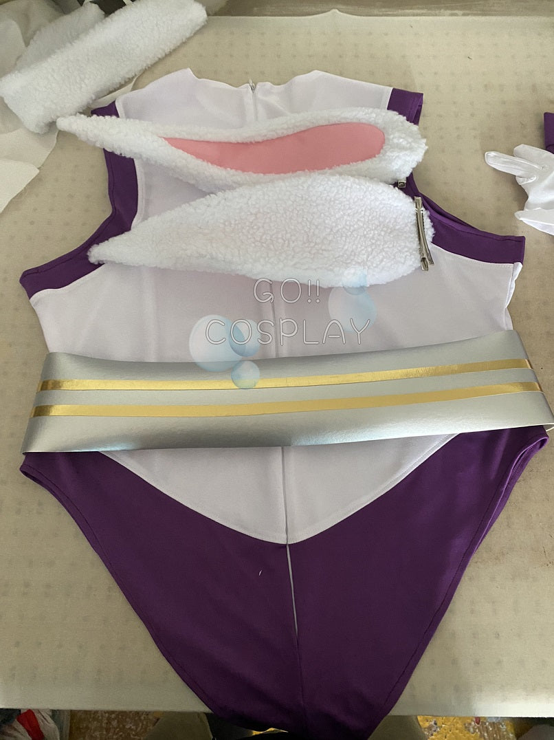 Rabbit Hero: Mirko Hero Costume