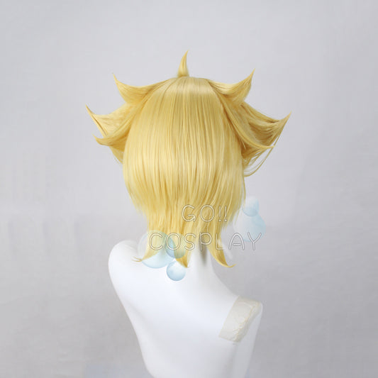 Barry Pokémon Cosplay Wig