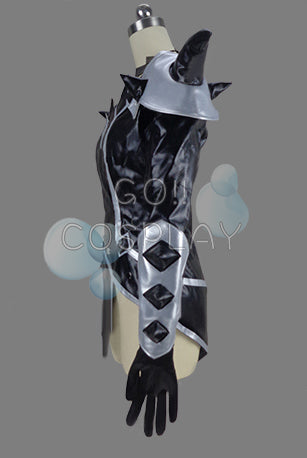 Erza Purgatory Armor Costume for Sale