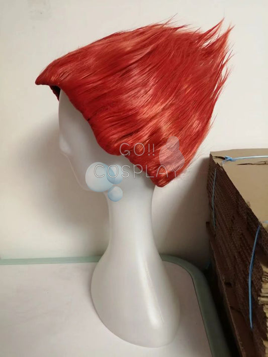 Hunter x Hunter Hisoka Wig