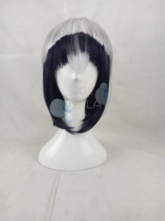 Kemono Friends Common Raccoon Wig