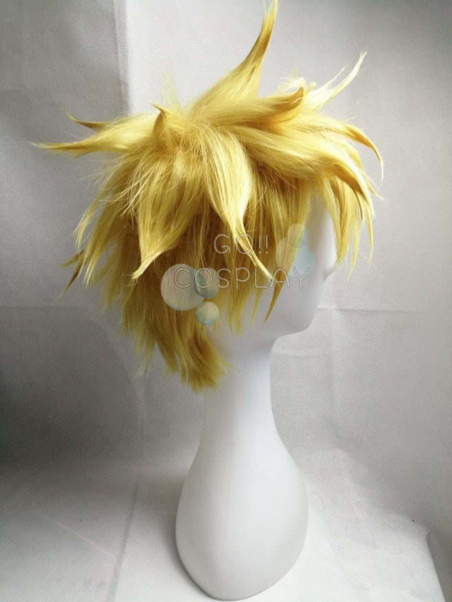 One Piece Marco Wig