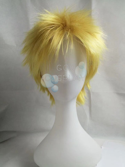 One Piece Donquixote Doflamingo Wig