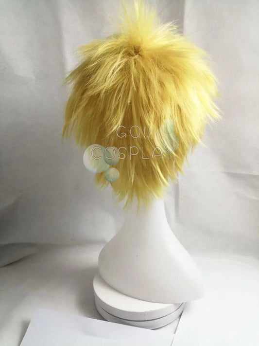 One Piece Donquixote Doflamingo Wig