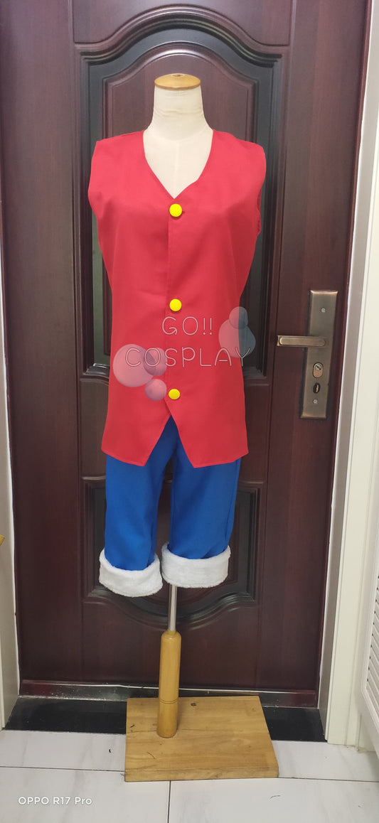 One Piece Monkey D. Luffy Cosplay Costume