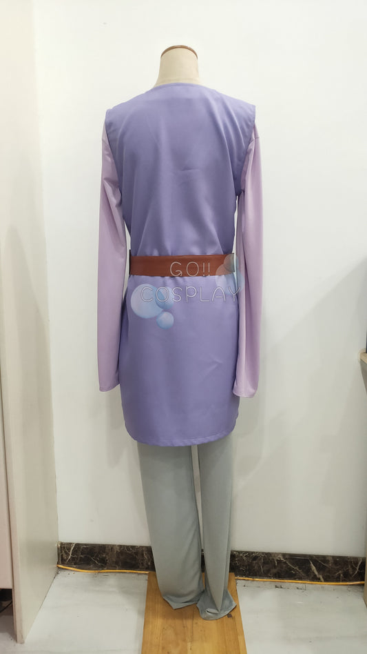 Purple Link Costume Buy