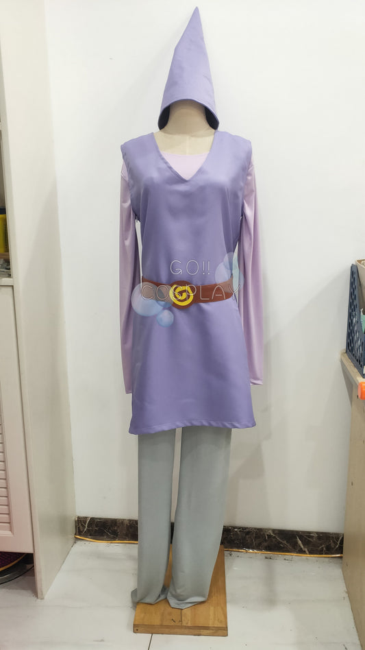 Purple Link Costume