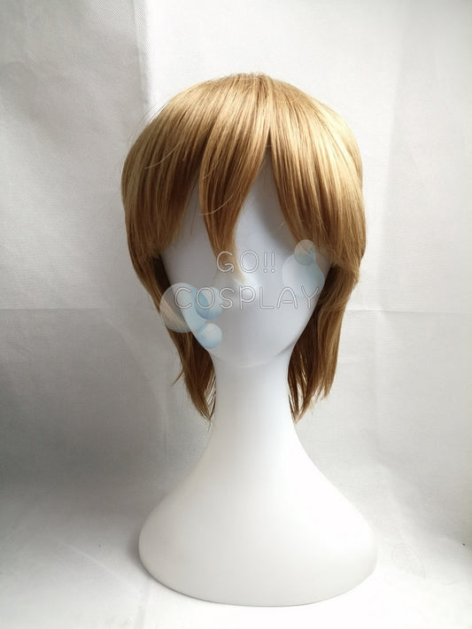 Seto Kaiba Wig